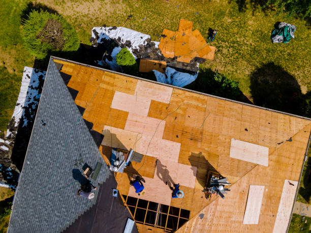 Trusted Colona, IL Roofing Contractor Experts
