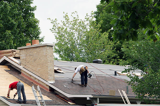 Best Metal Roofing Contractor  in Colona, IL