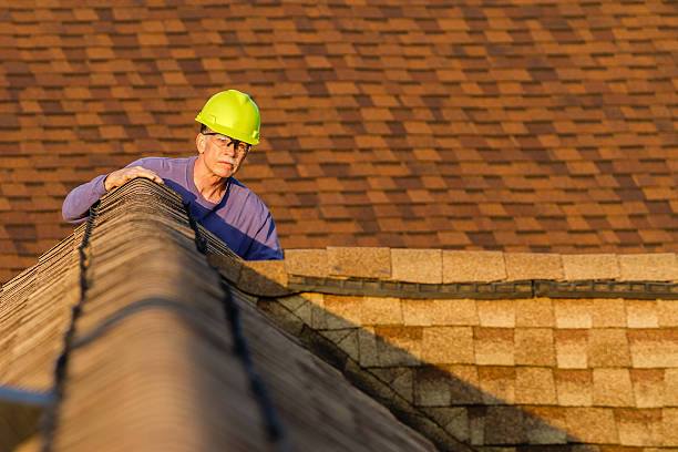 Gutter Installation and Roofing in Colona, IL