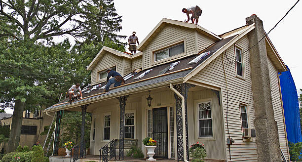 Best Shingle Roofing Installation  in Colona, IL