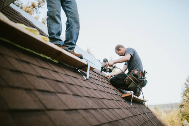 Quick and Trustworthy Emergency Roof Repair Services in Colona, IL