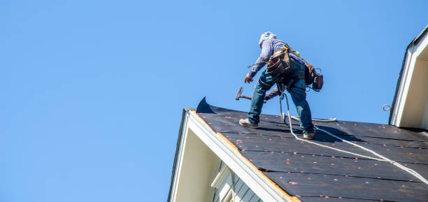 Tile Roofing Contractor in Colona, IL